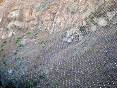 主动边坡防护网 - 安平县万基筛网有限公司图片3