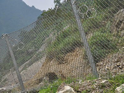 被动边坡防护网 - 安平县万基筛网有限公司图片3