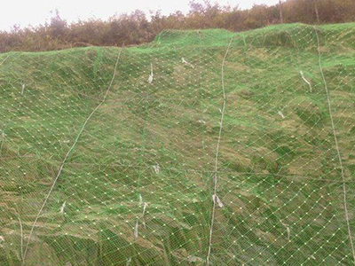 柔性防护网案例