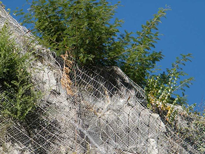 柔性防护网案例 - 安平县万基筛网有限公司图片2